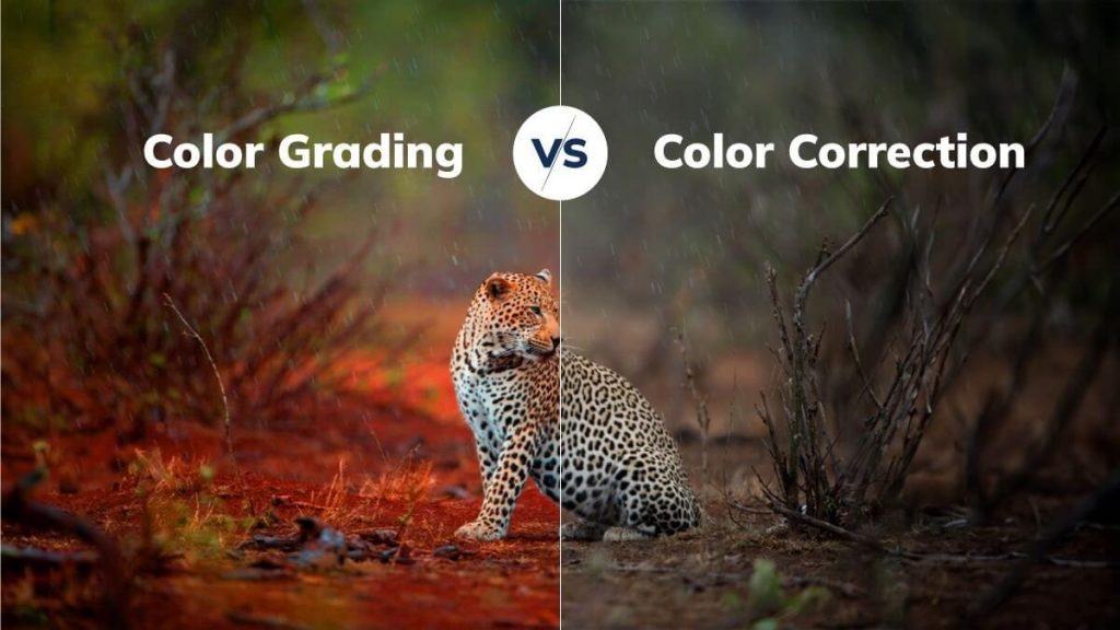 color correction and color grading capcut